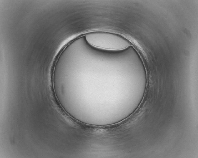 X0000116651230200912140959