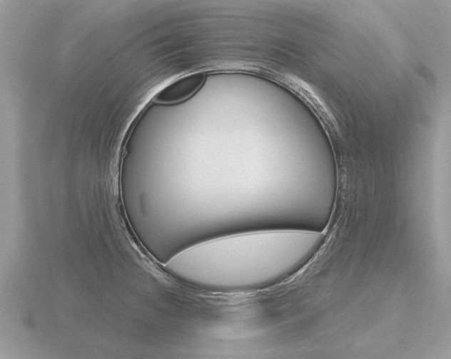 X0000116651236200912140959