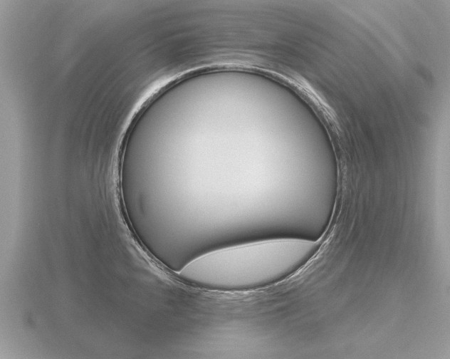 X0000116651240200912140959