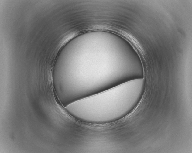 X0000116651241200912140959
