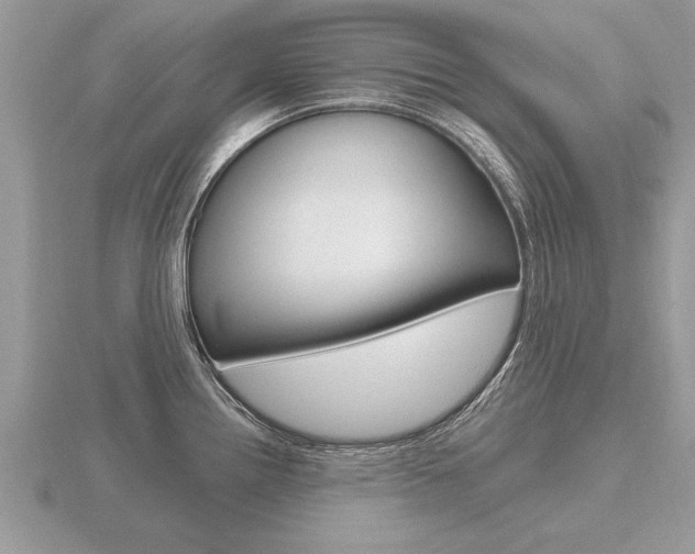 X0000116651242200912140959