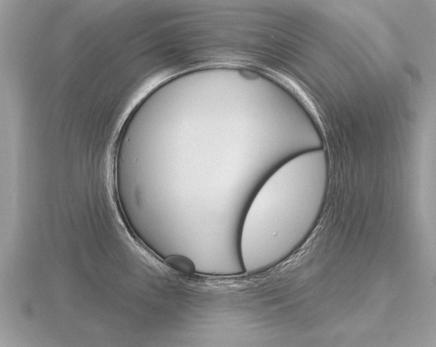X0000116651243200912140959