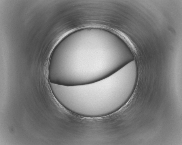 X0000116651244200912140959