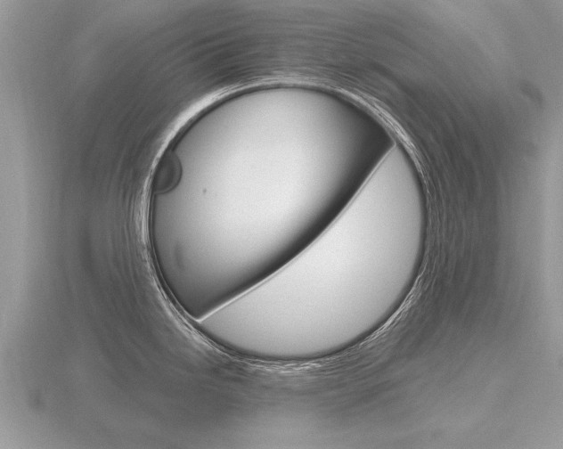 X0000116651246200912140959