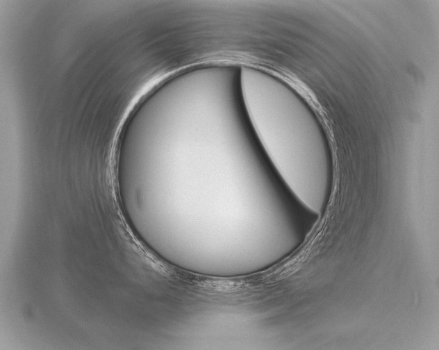 X0000116651248200912140959