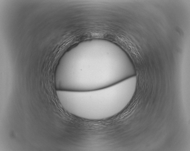 X0000116651249200912140959