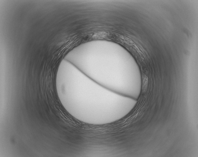 X0000116651250200912140959