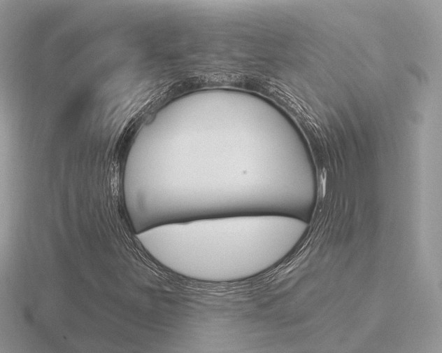 X0000116651251200912140959