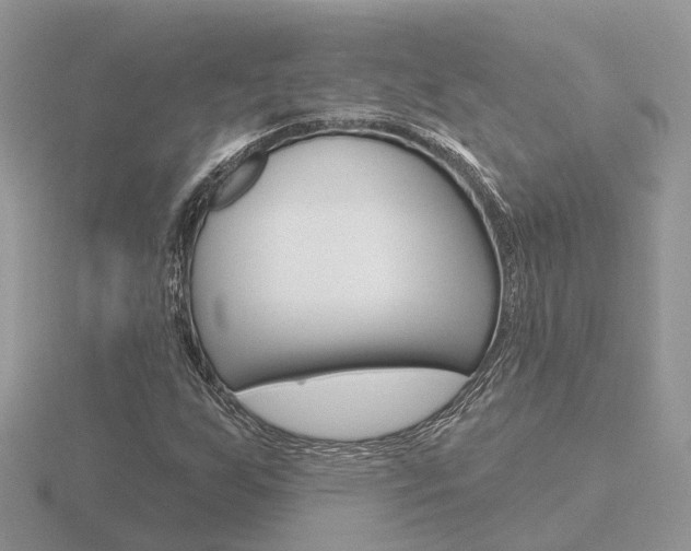 X0000116651255200912140958