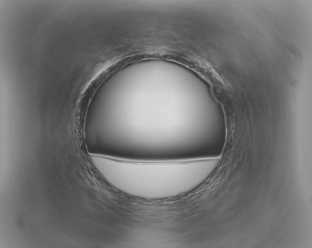X0000116651256200912140958