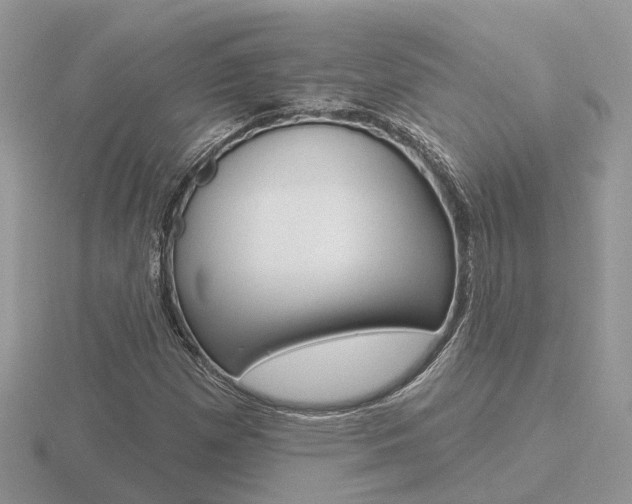 X0000116651257200912140958