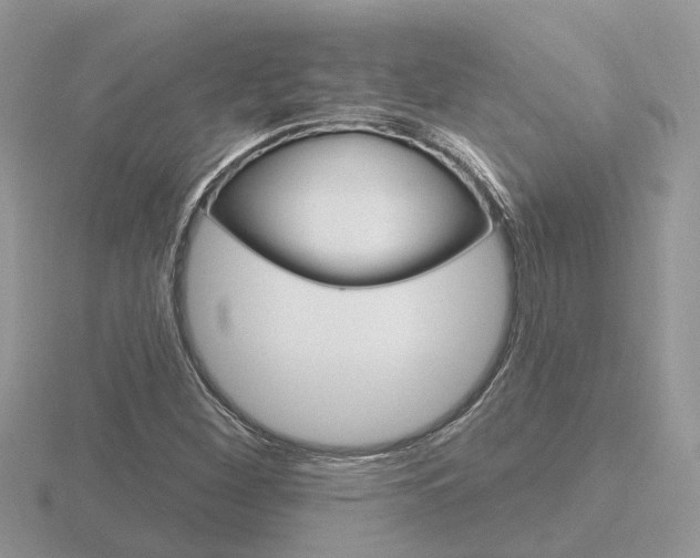 X0000116651260200912140958