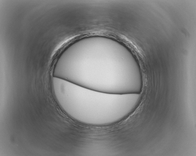 X0000116651262200912140958