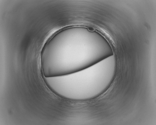 X0000116651275200912140958