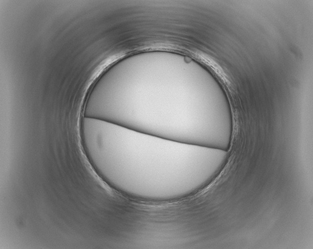 X0000116651282200912140958