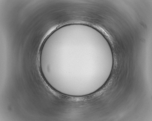 X0000116651286200912140958