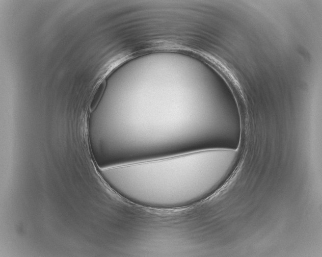 X0000116651289200912140958