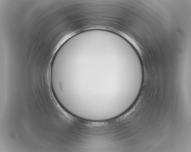 X0000116651290200912140958