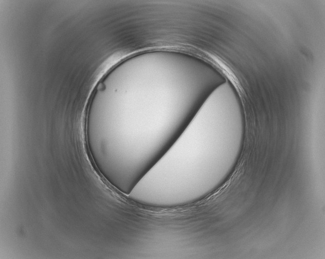 X0000116651291200912140958