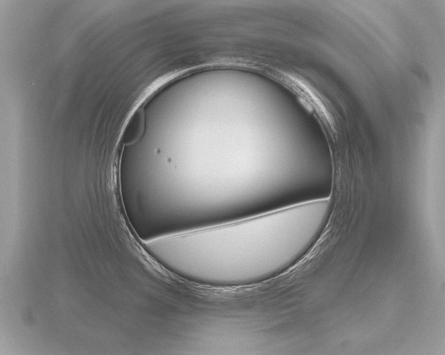 X0000116651292200912140958