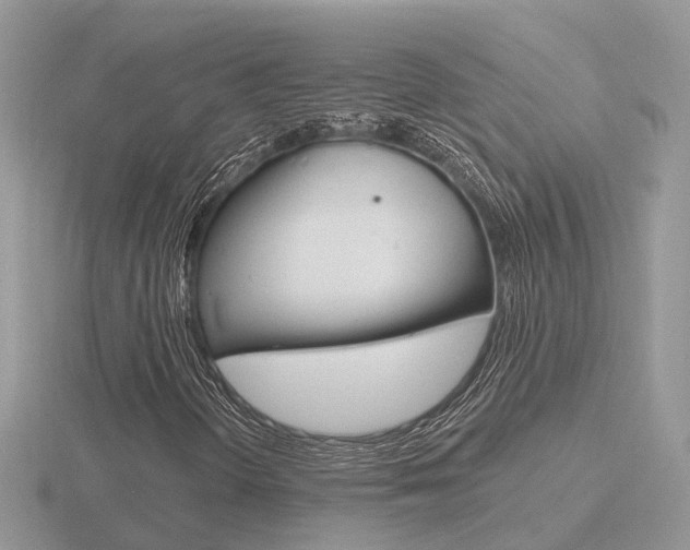 X0000116651298200912140957
