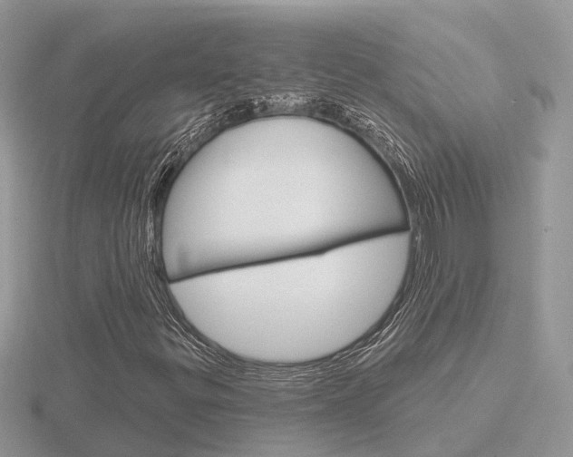 X0000116651299200912140957