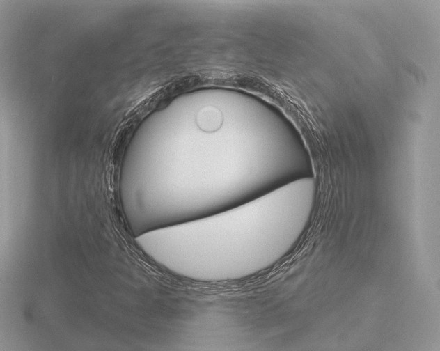 X0000116651301200912140957