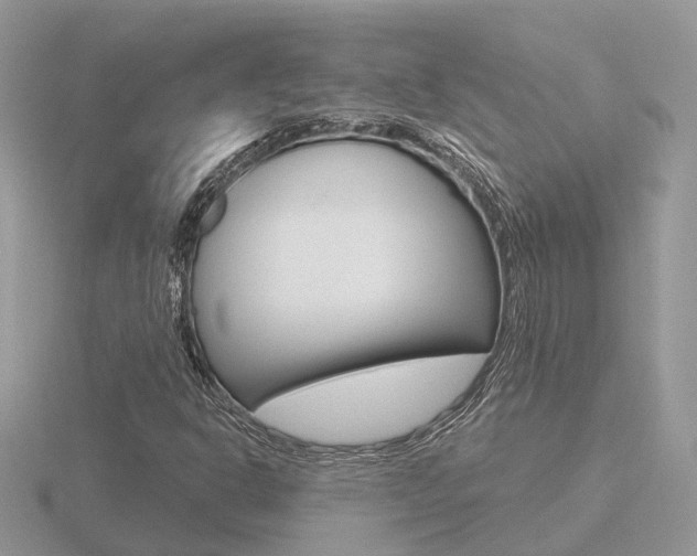 X0000116651302200912140957