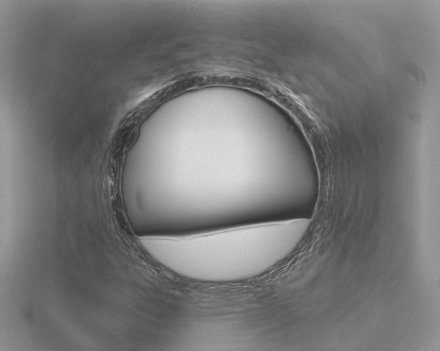 X0000116651303200912140957