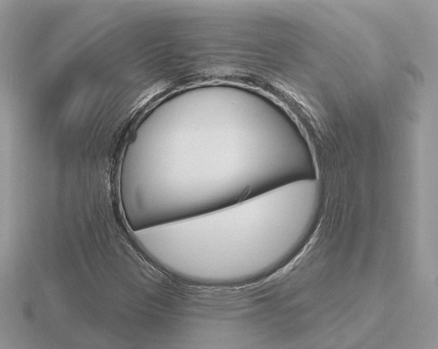 X0000116651305200912140957