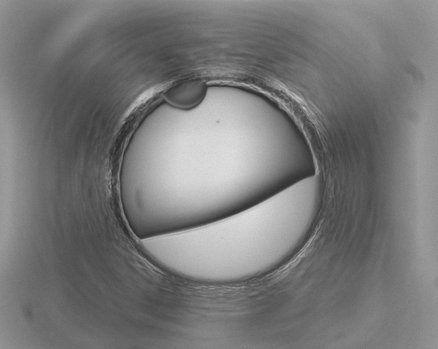 X0000116651306200912140957