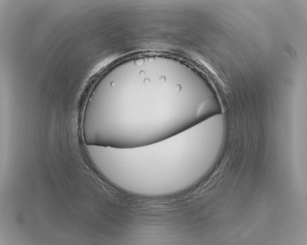 X0000116651315200912140957