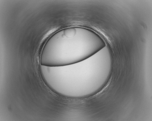 X0000116651317200912140957