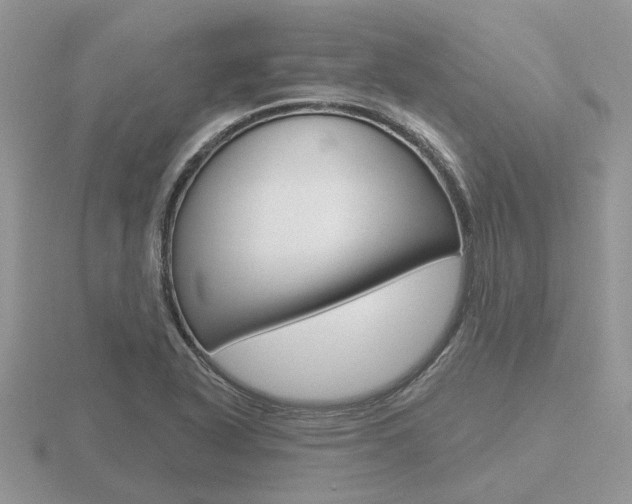 X0000116651318200912140957