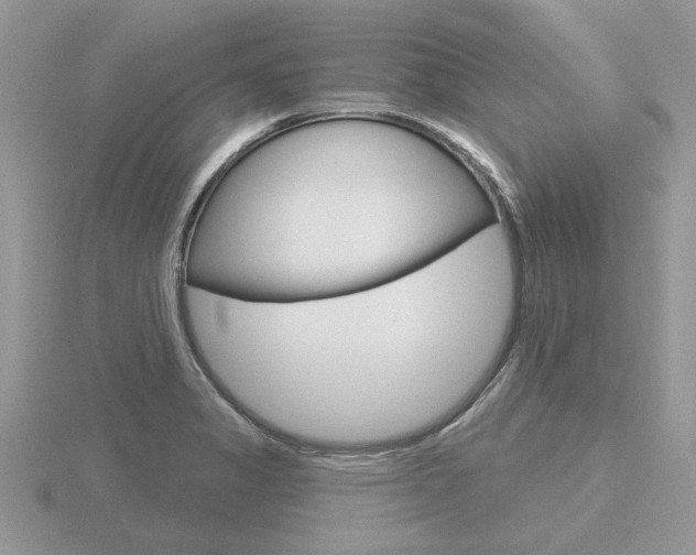 X0000116651325200912140957