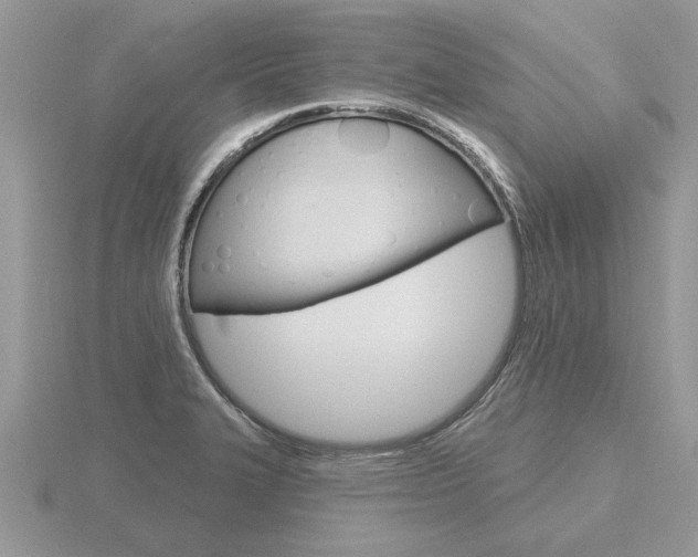 X0000116651327200912140957