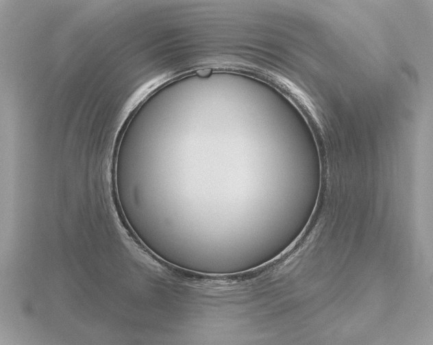 X0000116651330200912140958