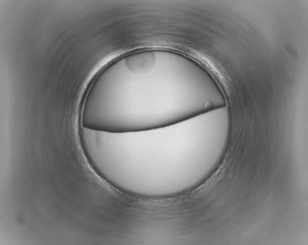 X0000116651331200912140958