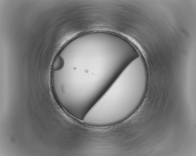 X0000116651333200912140958