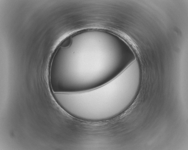 X0000116651334200912140958