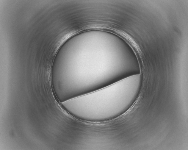 X0000116651337200912140958
