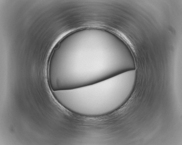 X0000116651339200912140958
