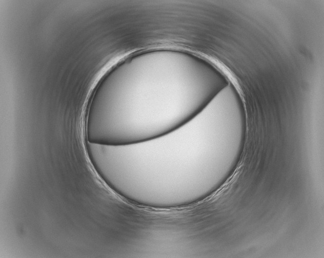 X0000116651341200912140958