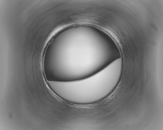 X0000116651342200912140958
