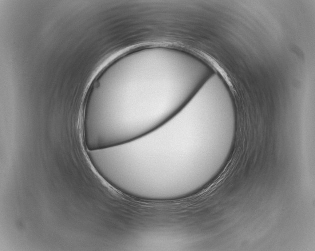 X0000116651343200912140958