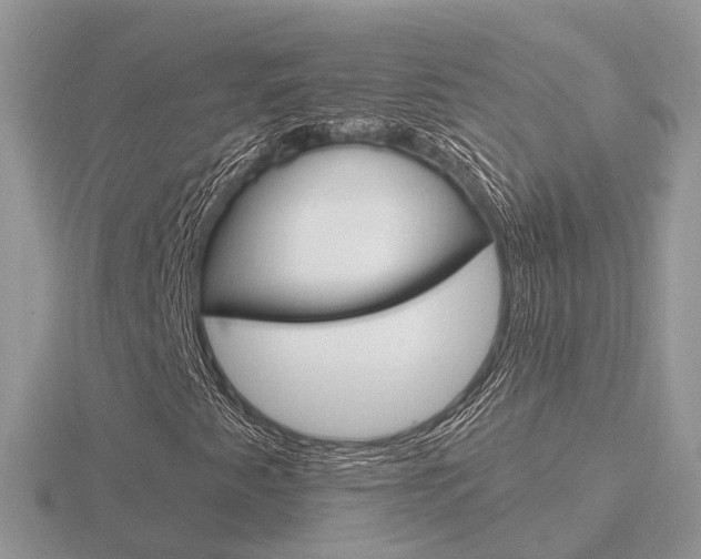 X0000116651345200912140957
