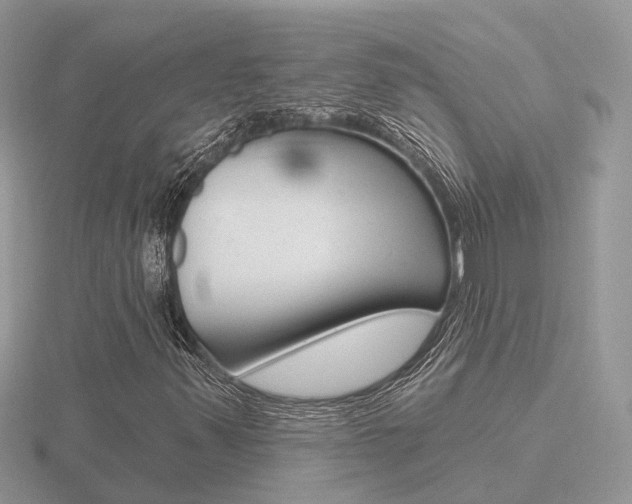 X0000116651347200912140957