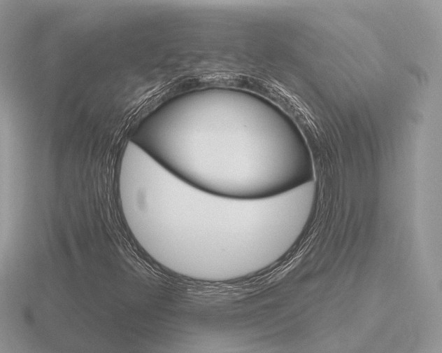 X0000116651348200912140957