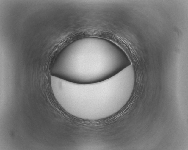 X0000116651349200912140957
