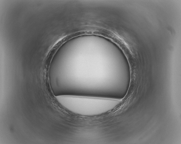 X0000116651352200912140957